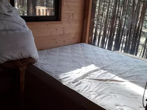 Обработка от муравьёв в загородном отеле